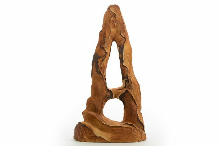 Tall Picture Sandstone Arch - Arizona #331139